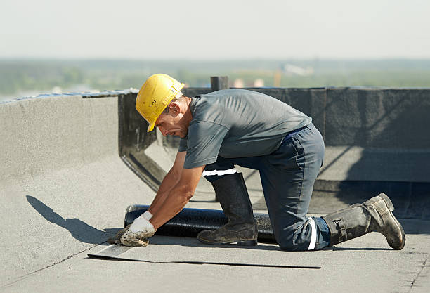 Best Eco-Friendly Insulation in Trent Woods, NC